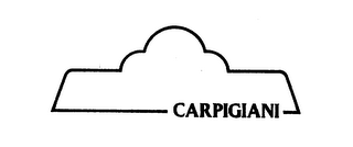 CARPIGIANI logo