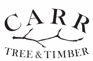 CARR TREE & TIMBER