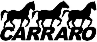 CARRARO logo