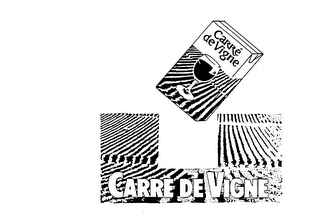CARRE DE VIGNE logo