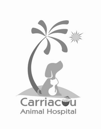 CARRIACOU ANIMAL HOSPITAL logo