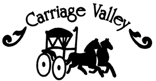 CARRIAGE VALLEY logo
