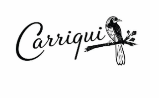 CARRIQUI logo