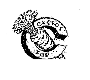 CARROT TOP logo