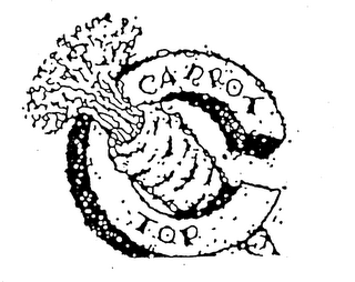 CARROT TOP logo