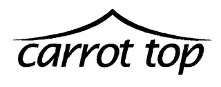 CARROT TOP logo