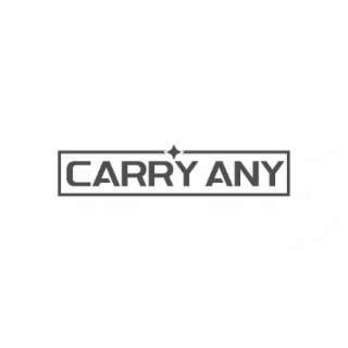 CARRY ANY logo