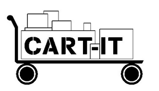 CART-IT logo