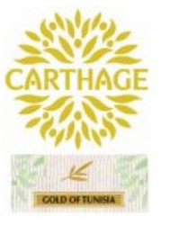 CARTHAGE GOLD OF TUNISIA logo