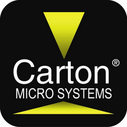CARTON MICRO SYSTEMS logo