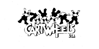 CARTWHEELS USA logo