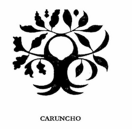 CARUNCHO logo