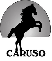 CARUSO logo