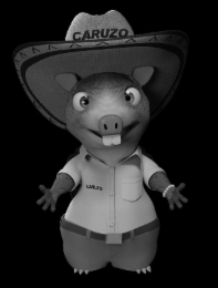 CARUZO logo