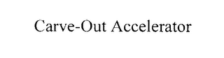 CARVE-OUT ACCELERATOR logo