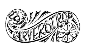 CARVERSTROP logo