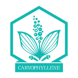 CARYOPHYLLENE logo