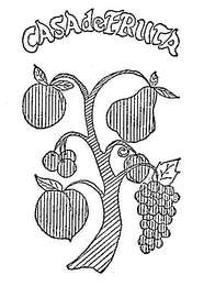 CASA DE FRUTA logo