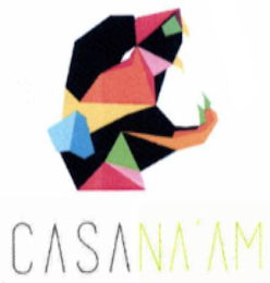 CASA NA'AM logo
