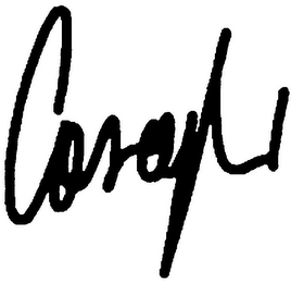 CASAGLI logo