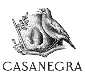 CASANEGRA logo