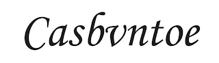 CASBVNTOE logo