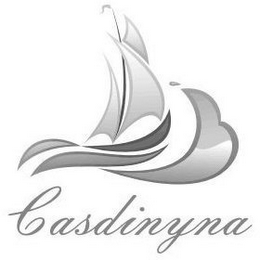 CASDINYNA logo