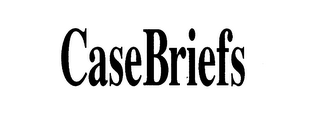 CASE BRIEFS logo