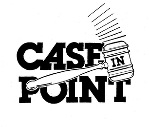 CASE IN POINT logo
