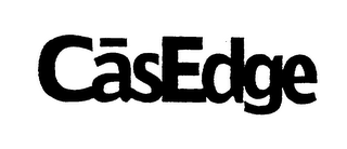 CASEDGE logo