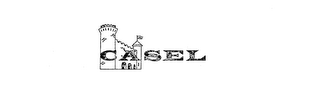 CASEL logo