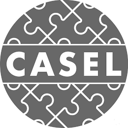 CASEL logo