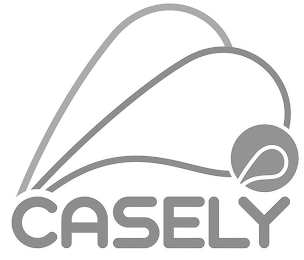 CASELY logo