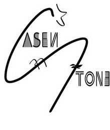 CASEN STONE logo