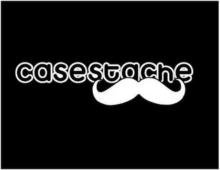 CASESTACHE logo