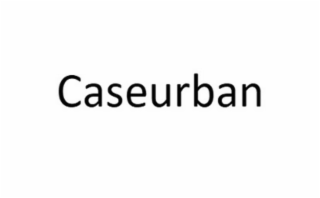 CASEURBAN logo