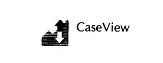 CASEVIEW logo