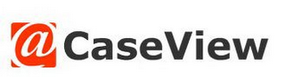 @ CASEVIEW logo