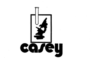 CASEY logo