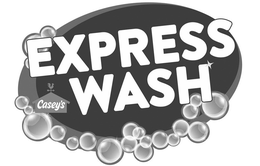 CASEY'S EXPRESS WASH logo