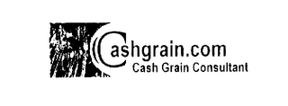 CASHGRAIN.COM CASH GRAIN CONSULTANT logo