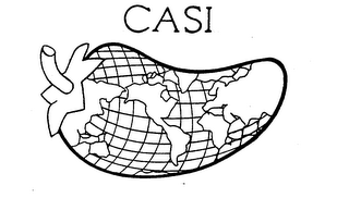 CASI logo
