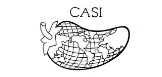 CASI logo
