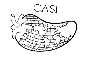 CASI logo