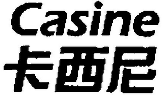 CASINE logo