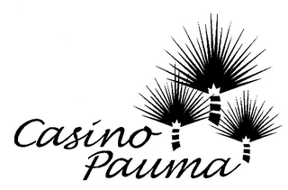 CASINO PAUMA logo