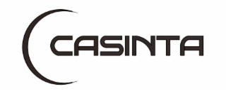 CASINTA logo