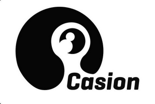 CASION logo