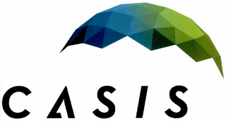 CASIS logo