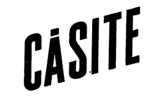 CASITE logo